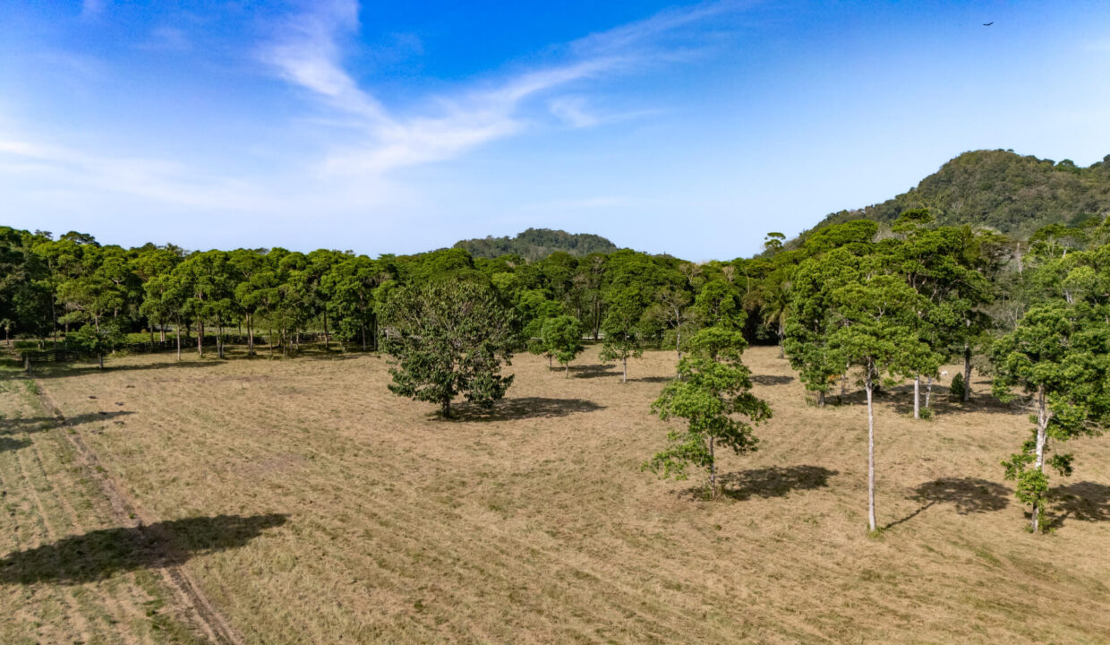 47020Acre20Cattle20Ranch20Punta20Gorda20Toledo20Belize2040