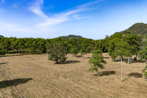 47020Acre20Cattle20Ranch20Punta20Gorda20Toledo20Belize2040