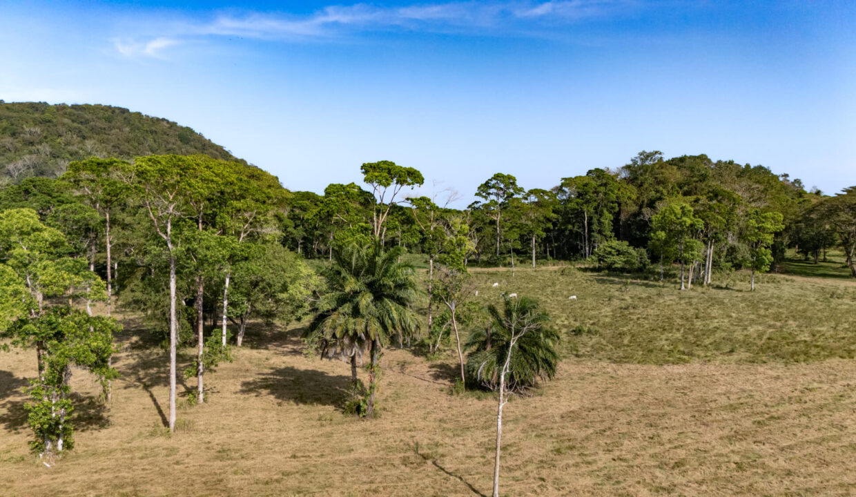 47020Acre20Cattle20Ranch20Punta20Gorda20Toledo20Belize2041