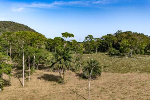 47020Acre20Cattle20Ranch20Punta20Gorda20Toledo20Belize2041