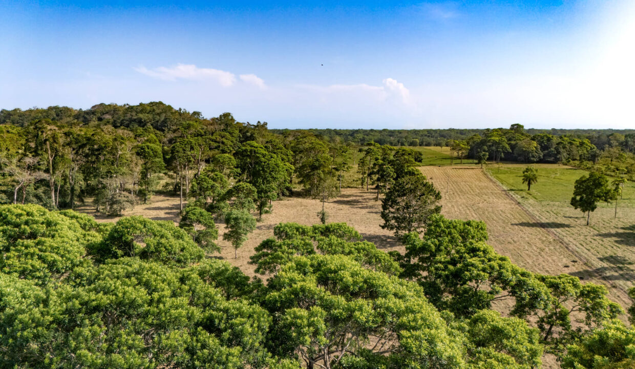 47020Acre20Cattle20Ranch20Punta20Gorda20Toledo20Belize2048