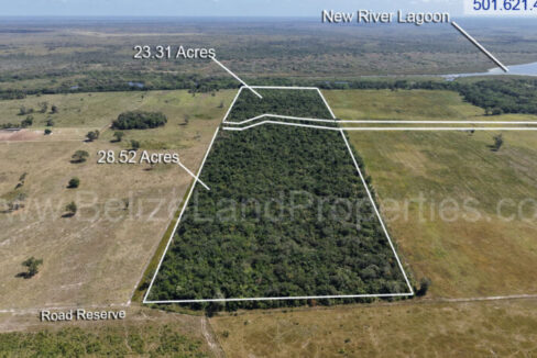 Cheap-Farmland-for-sale-in-Orange-Walk-copy-835x467