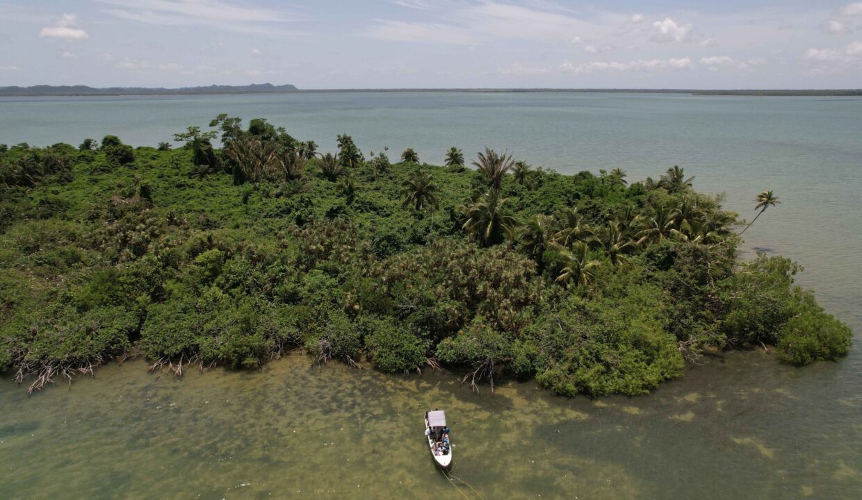 Cohune-Caye-scaled