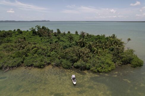 Cohune-Caye-scaled