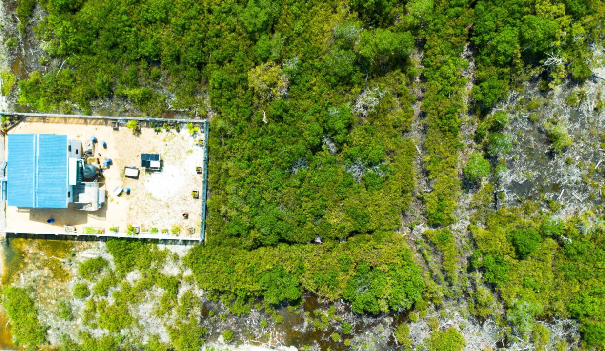 DJI_0499-scaled