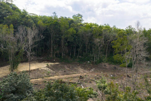 DJI_20260217133104_0020_D