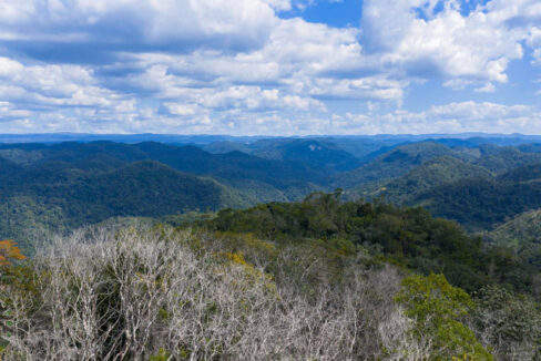 DJI_20260217133354_0041_D