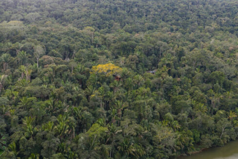 DJI_20260217154101_0280_D