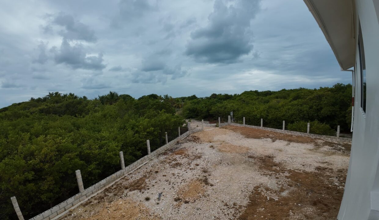 DJI_20260325113936_0057_D