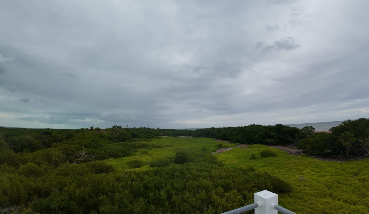 DJI_20260325114302_0062_D
