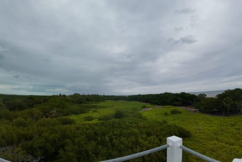 DJI_20260325114302_0062_D