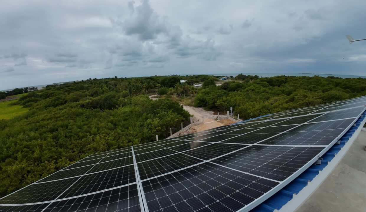 DJI_20260325115342_0072_D
