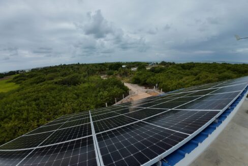 DJI_20260325115342_0072_D