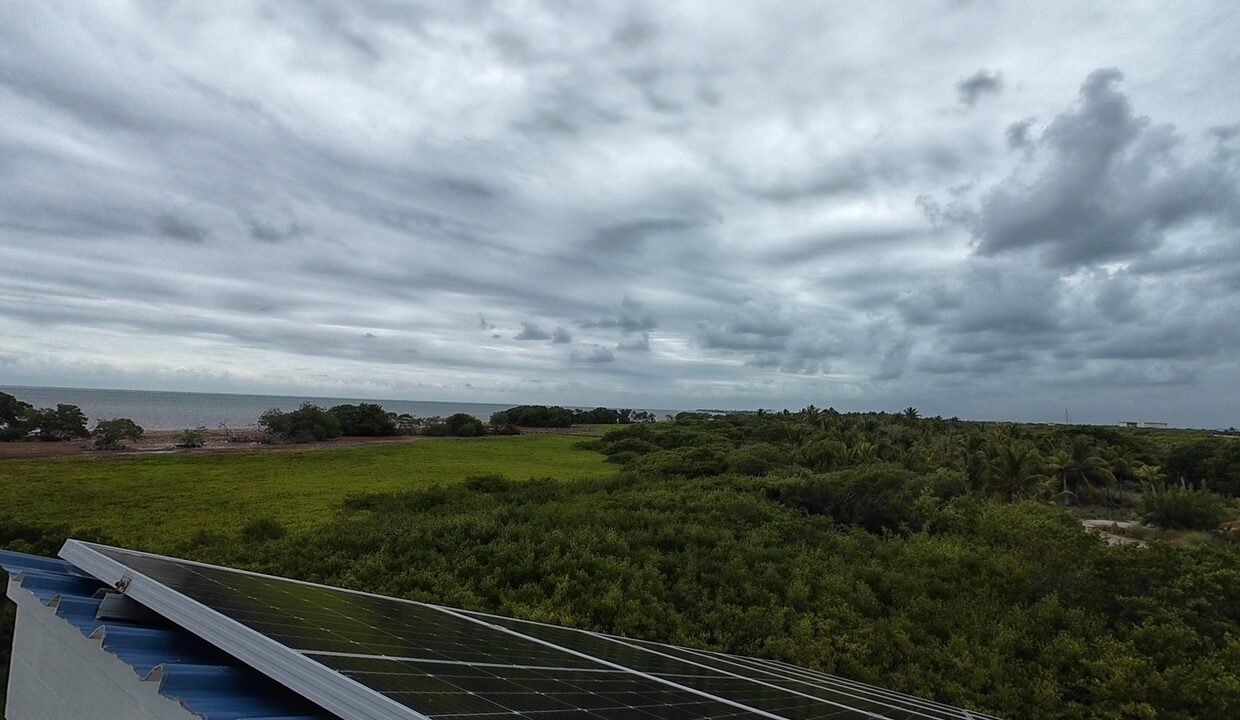 DJI_20260325115412_0074_D-mp4-image