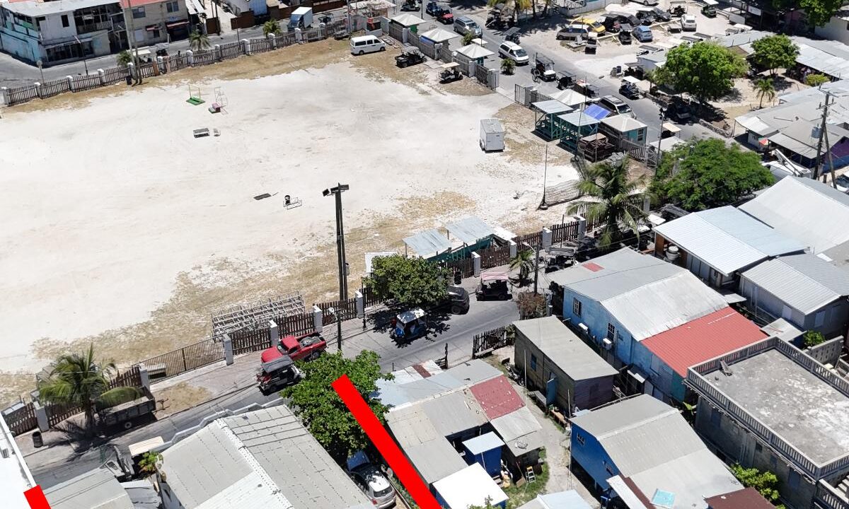 DJI_20260513113656_0285_D
