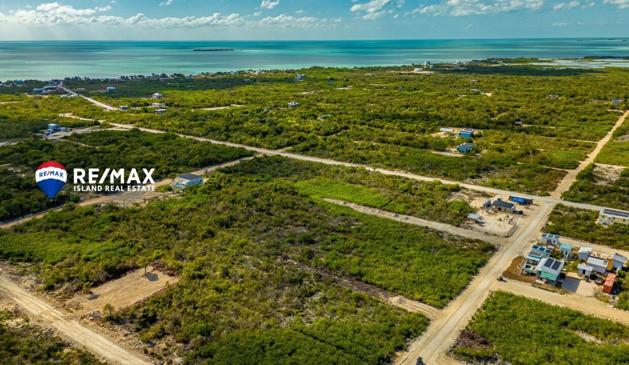 GRAND-BELIZEAN-ESTATE-PARCEL-14104-14103-RESIZED-WATERMARKED-4