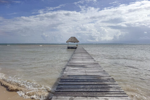 IMG_5450_web