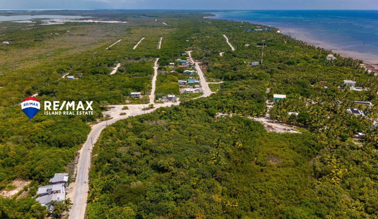 KRISTIAN-SUBDIVISION-12347-12333-10