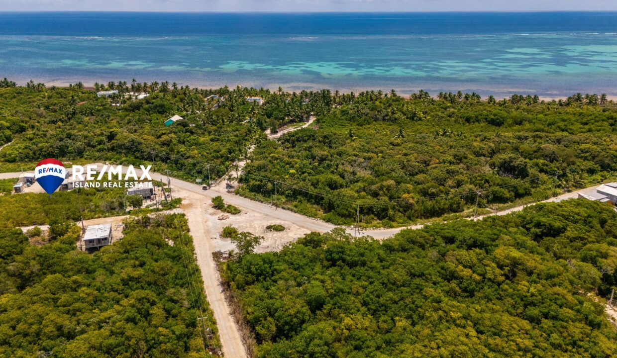KRISTIAN-SUBDIVISION-12347-12333-4