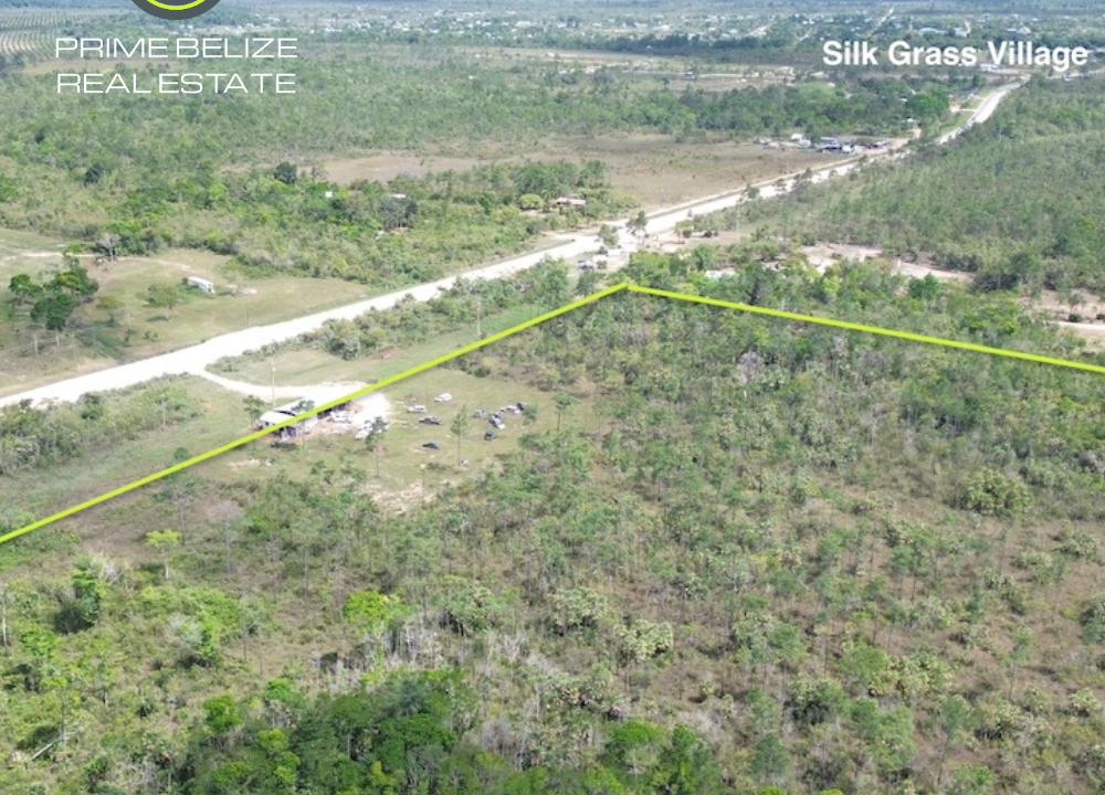 PF0065-large-acreages-near-silk-grass-and-hopkins-village