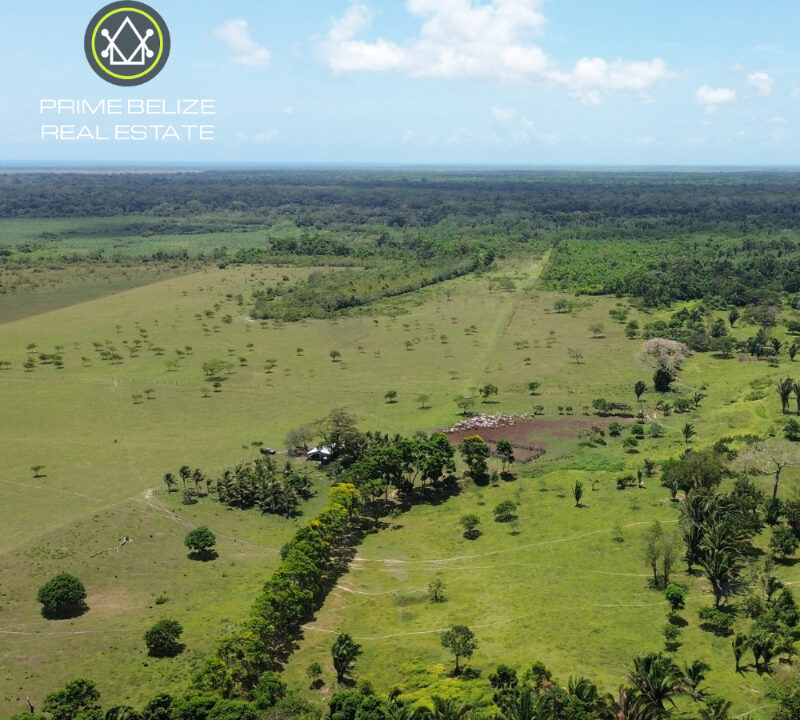 PF0066-300-Acre-farm