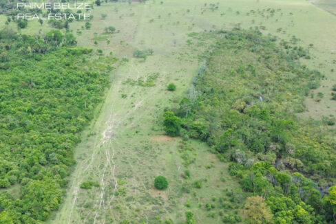 PF0066-300-acre-Operational-Cattle-farm