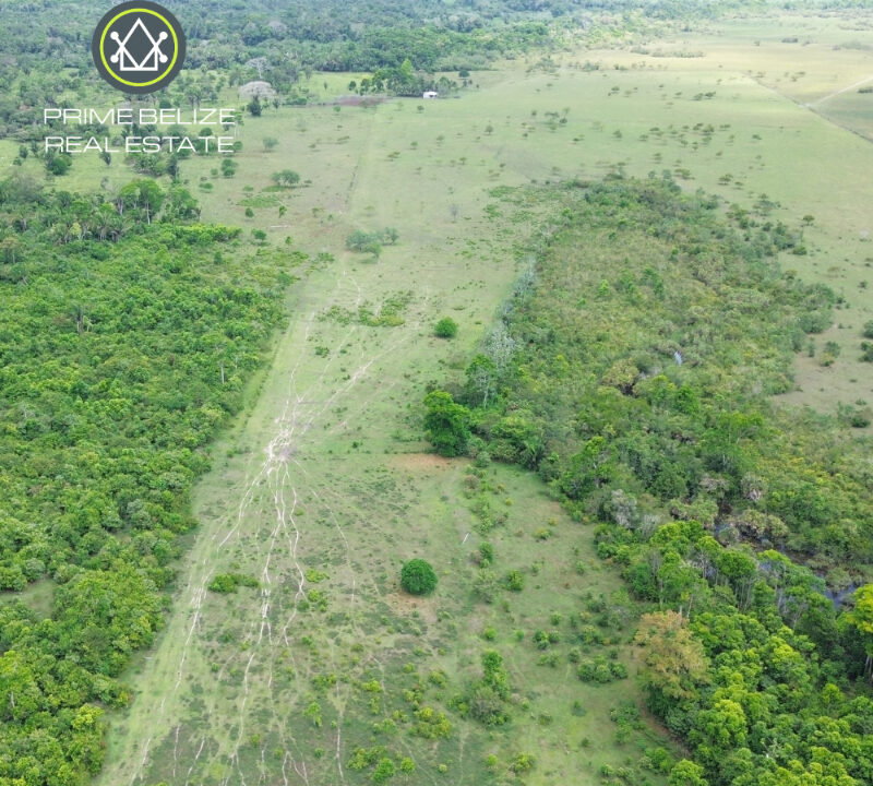 PF0066-300-acre-Operational-Cattle-farm