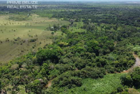 PF0066-300-acre-of-diversification-potential