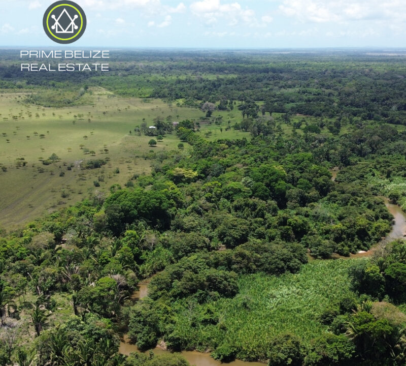 PF0066-300-acre-of-diversification-potential