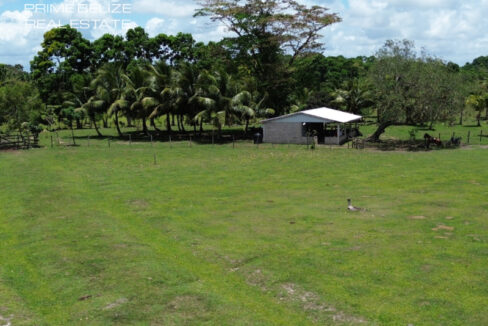 PF0066-farm-structure