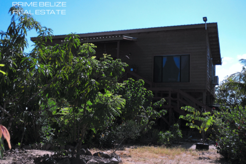 PH0012-front-yard-with-mango-trees