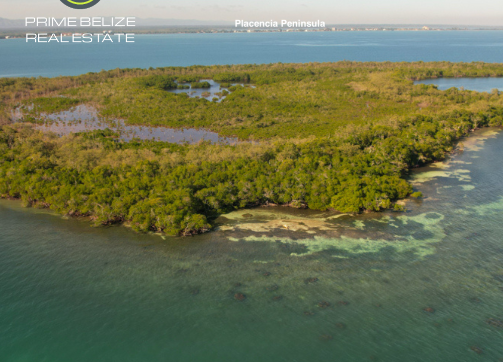 PI0014-40-plus-acres-of-private-island-near-Placencia