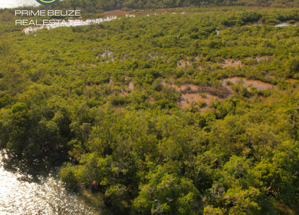 PI0014-43-plus-Acres-of-undeveloped-private-island-Placencia