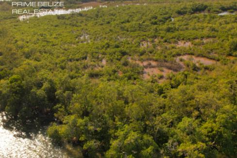PI0014-43-plus-Acres-of-undeveloped-private-island-Placencia