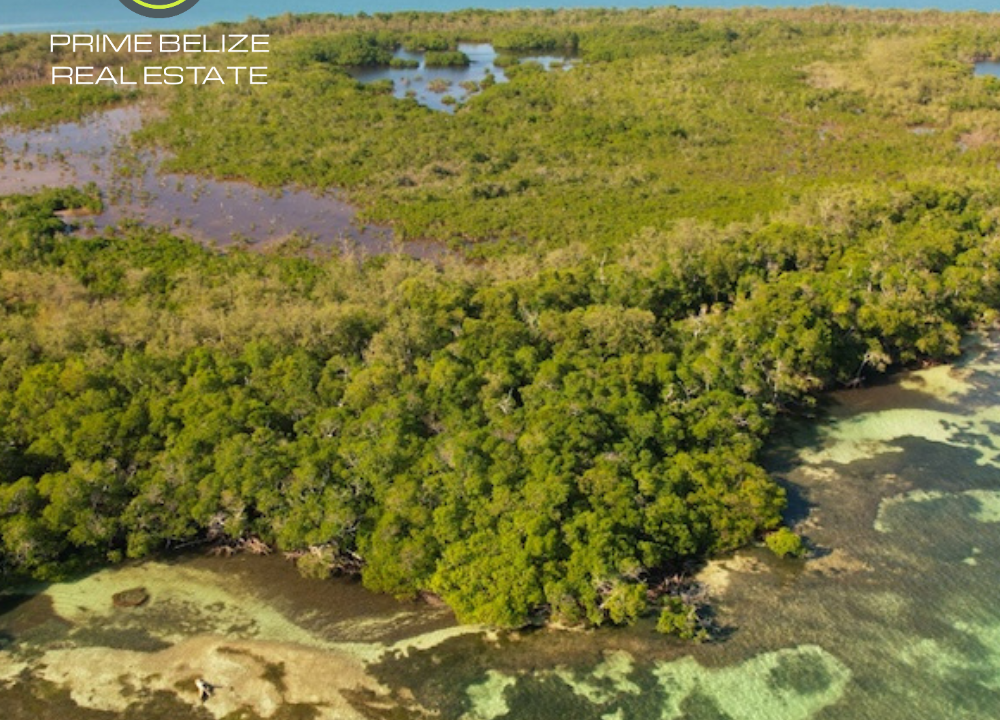 PI0014-Large-island-with-great-snorkelling-waters