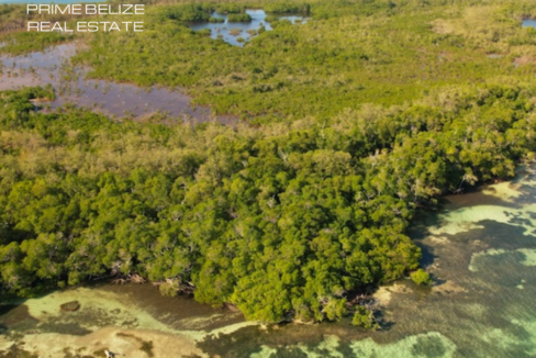 PI0014-Large-island-with-great-snorkelling-waters