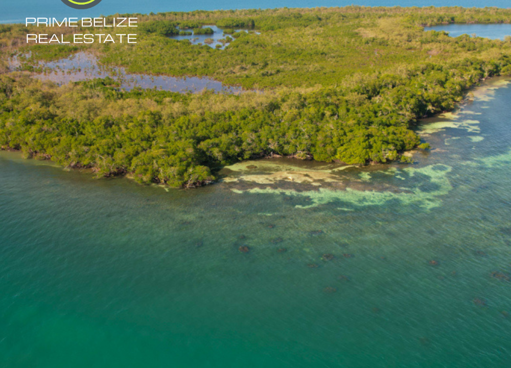 PI0014-large-undeveloped-private-island-near-Placencia