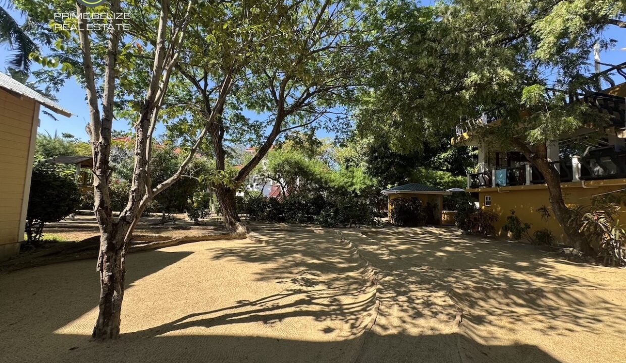 PL0227-ground-image