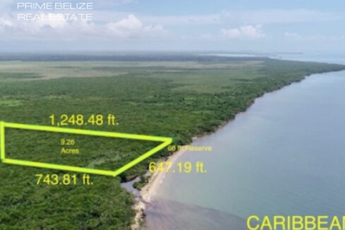 PL0230-nine-acres-for-immediate-sale