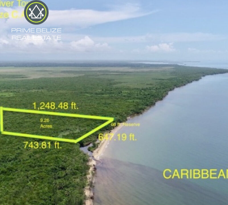 PL0230-nine-acres-for-immediate-sale