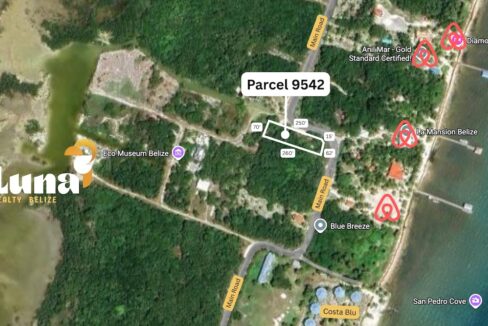 Parcel-9542