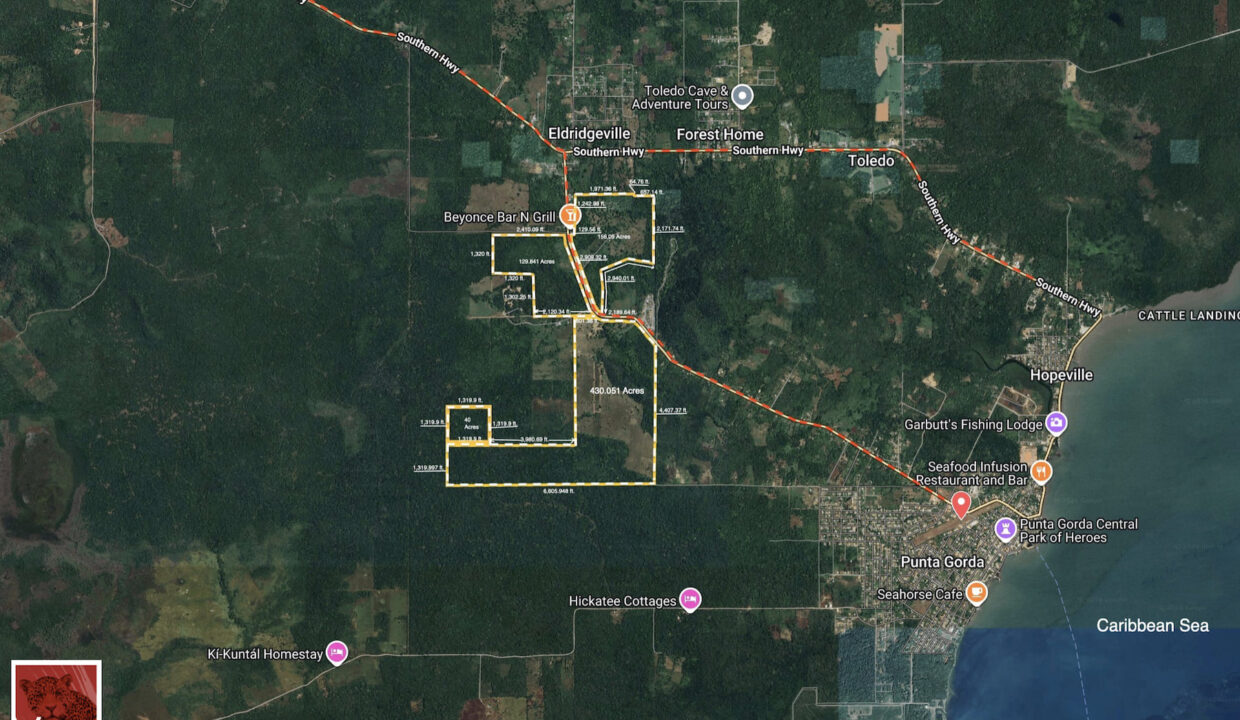 Sat20Sketch20-75620Acre20Estate20Toledo