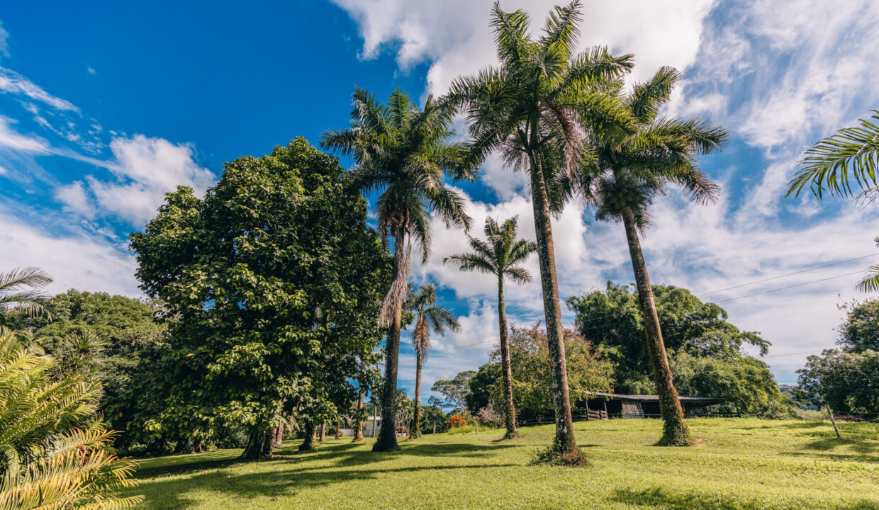 Sirmoor20Hill20Ranch20Estate20Toledo20Belize2030