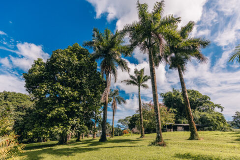 Sirmoor20Hill20Ranch20Estate20Toledo20Belize2030