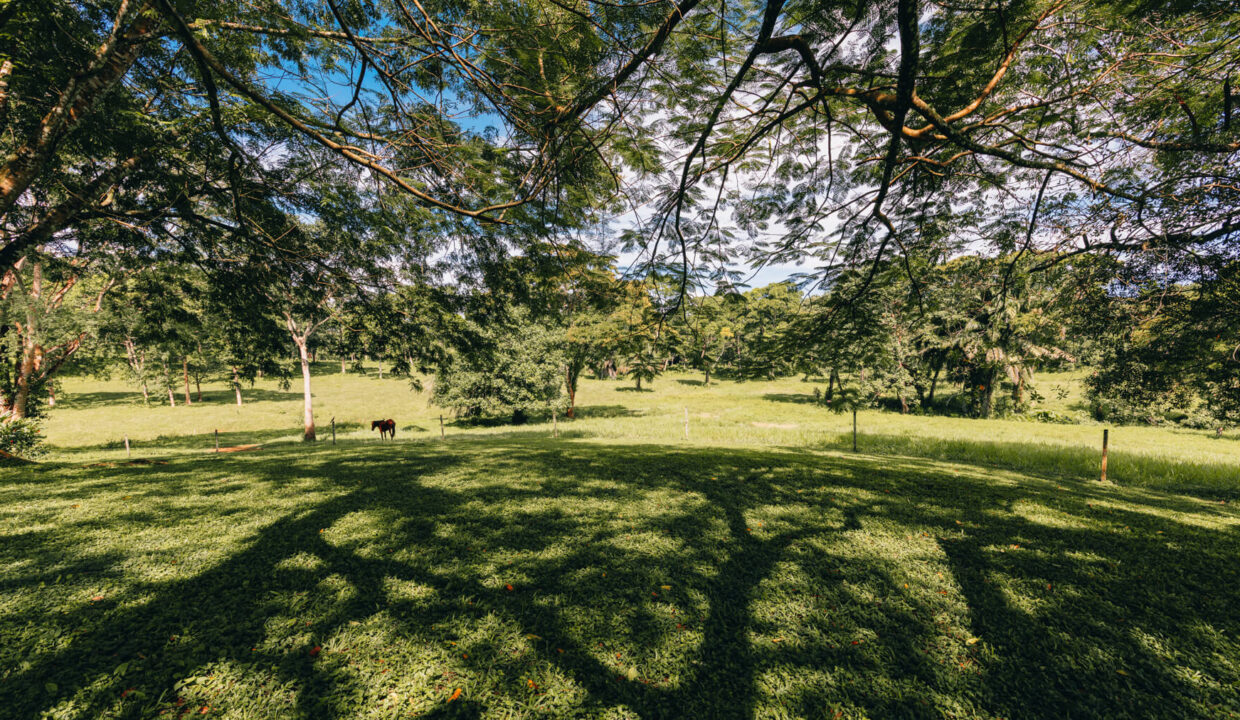 Sirmoor20Hill20Ranch20Estate20Toledo20Belize2032