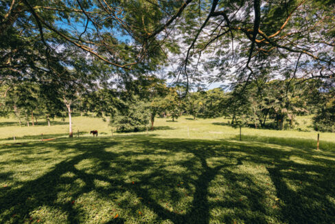 Sirmoor20Hill20Ranch20Estate20Toledo20Belize2032