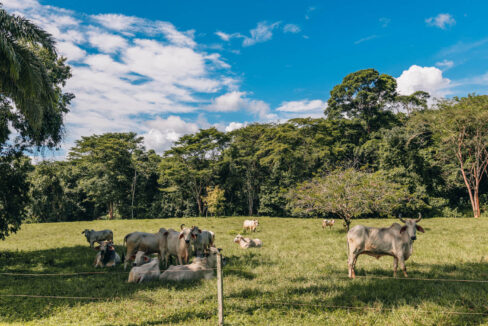 Sirmoor20Hill20Ranch20Estate20Toledo20Belize2036