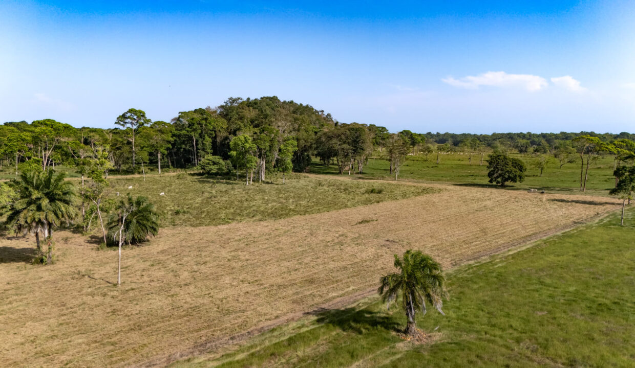 Sirmoor20Hill20Ranch20Estate20Toledo20Belize2039
