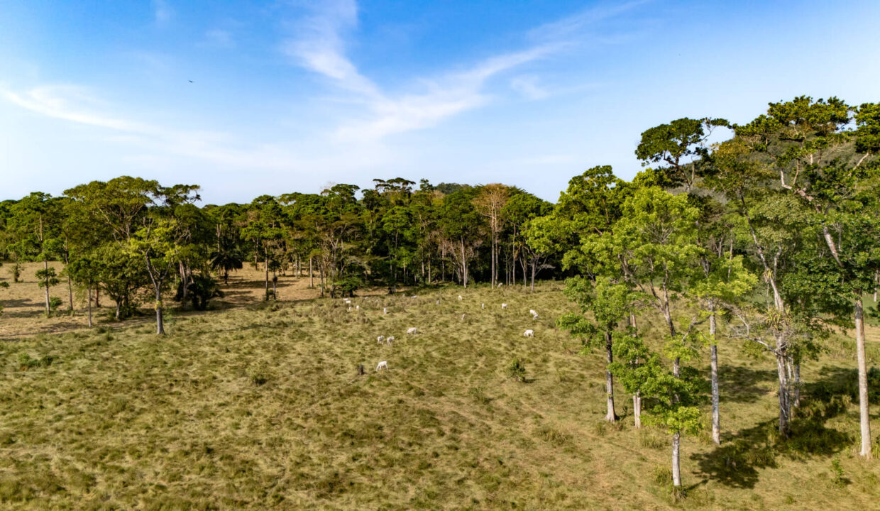 Sirmoor20Hill20Ranch20Estate20Toledo20Belize2041