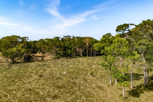Sirmoor20Hill20Ranch20Estate20Toledo20Belize2041